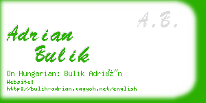 adrian bulik business card